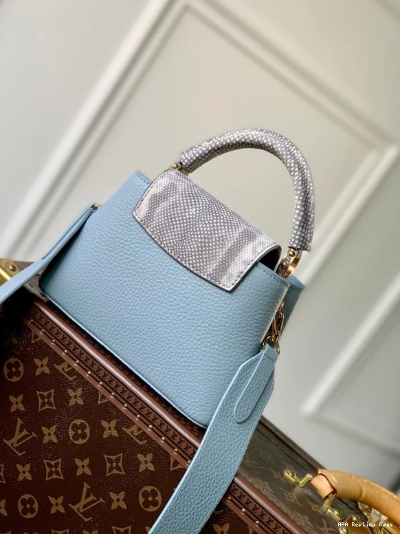 Aaa replica ru CAPUCINES LOUIS VUITTON MINI 0716